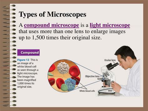 microscope slideshare|types of microscope ppt.